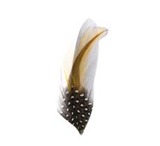 Classic Italy Plumas