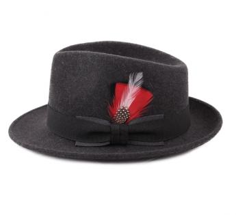 Plumes pour chapeau Plumas