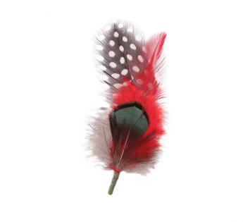 Plumes pour chapeau Plumas