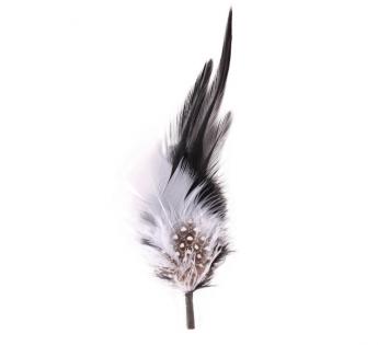 Plumes pour chapeau Plumas