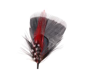 Plumes pour chapeau Plumas