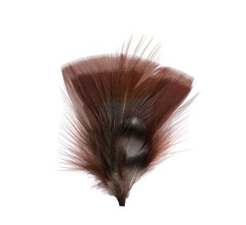 Plumes pour chapeau Plumas