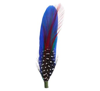 Plumes pour chapeau Plumas